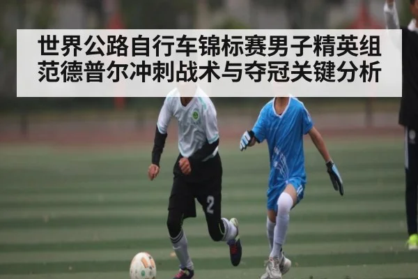 世界公路自行车锦标赛男子精英组范德普尔冲刺战术与夺冠关键分析